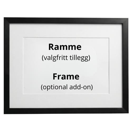 12 Ramme/frame