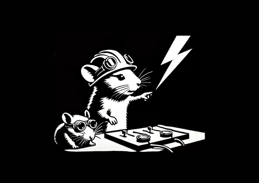 Dj2 - print on canvas