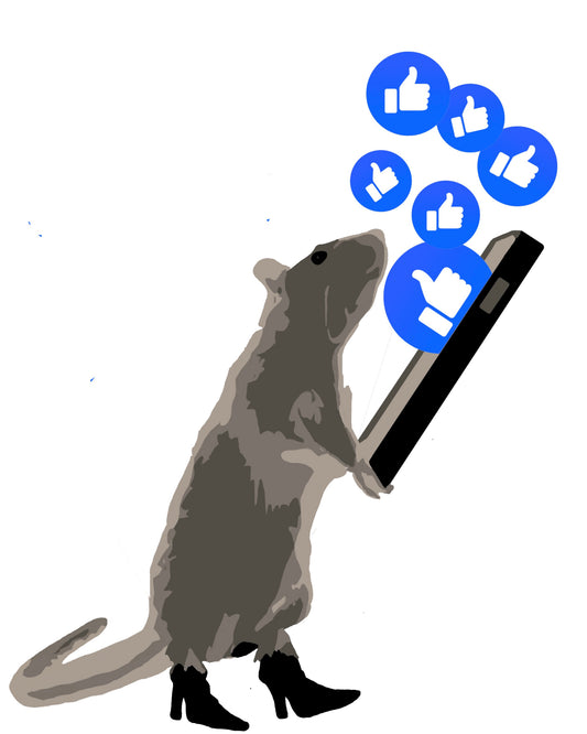 10 Lik meg / Like me, please